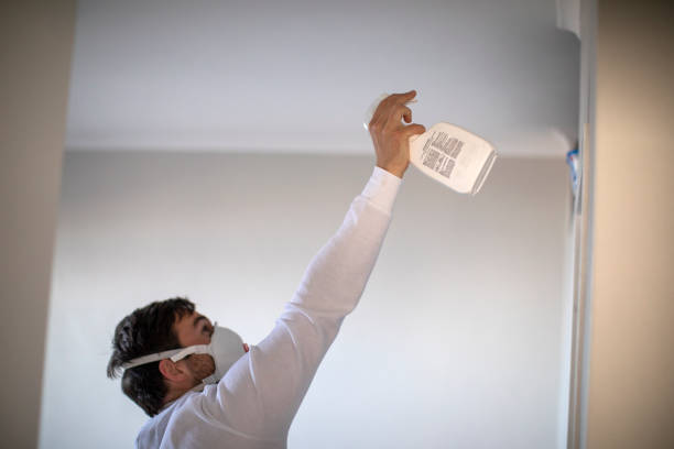 Best Residential Mold Remediation in Dwight, IL