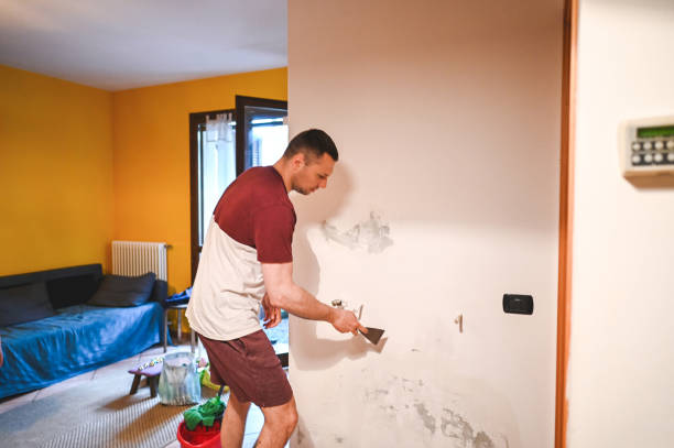 Best HVAC Mold Remediation in Dwight, IL